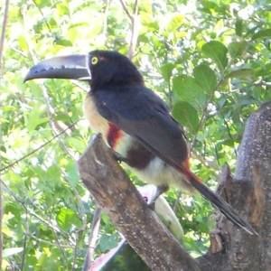 Meet your Posher, Tricia